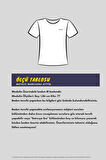 Erkek Çok Renkli T- Shirt Regular Fit Rahat Kesim Bisiklet Yaka 3'lü Basic Tişört Paketi