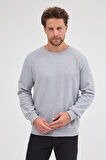Erkek Gri Standart Fit Normal Kesim Pamuklu Basic Bisiklet Yaka Sweatshirt