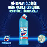 Domestos çamaşır Suyu Okalıptus 750ml Paket (5 Adet)