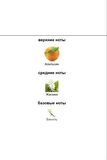 Diffuser Orange , Jasmine , Vanilla 212,5 Ml ( Ambians , Oda Kokusu
