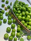 NİVEMESHOME HATAY YÖRESİNE AİT YEŞİL ERİK 1,5 KG
