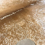 HAKİKİ DERİ DANA POSTU MİNİK BENEK 180 x 225 - 0601000009