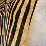 HAKİKİ DERİ DANA POSTU BEYAZ ZEBRA 190 x 235 - 1201000003