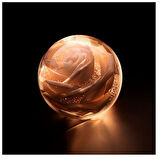 Dior Prestige La Micro Huile De Rose - Activated Serum 75 ml