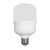 Ferled Torch 30 6500k Beyaz Işık 30 Watt Led Ampül E27 Duy