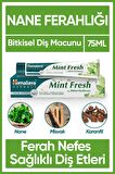 Himalaya Gum Expert Nane Aromalı Tam Koruma Bitkisel Diş Macunu 75 ml 