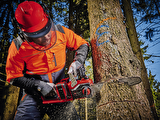 Einhell Professional Akülü Zincirli Testere GP-LC 36/35 Li-Solo Power X-Change (Li-Ion, 36 V, 33 cm kesim uzunluğu, 15 m/s kesim hızı, kömürsüz motor, akü ve şarj cihazı dahil değildir) - 4501780