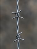 250-Mt Dikenli Tel