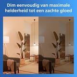 Philips Smart Lighting LED Ampul A60 E27 100W Eşdeğer RGB 2'li Paket - Google Home, Alexa, HomeKit ve Matter uyumlu