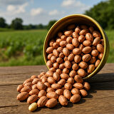 GURMEKENT YER FISTIĞI ÇİĞ 1000GR