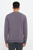 Erkek Koyu Gri Standart Fit Normal Kesim Bisiklet Yaka 3 Iplik Pamuklu Sweatshirt