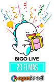 23 Elmas