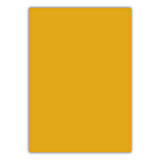 Bigpoint A4 Cilt Kapağı 150 Mikron Opak Turuncu 100'lü Paket