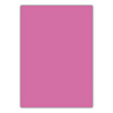 Bigpoint A4 Cilt Kapağı 150 Mikron Opak Pembe 100'lü Paket