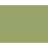 Derwent Drawing Pencil Renkli Çizim Kalemi 5090 Crag Green