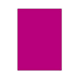 Bigpoint Fosforlu Fon Kartonu 50x70cm Koyu Pembe