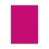 Bigpoint Fon Kartonu 50x70cm 160 Gram Fuchsia