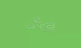 Faber Castell Art&Graphic Polychromos Artist Kuru Boya Kalemi 166 Grass Green