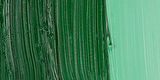 Maimeri Classico Yağlı Boya 200ml 290 Green Lake
