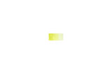 Derwent Coloursoft Kuru Boya Kalemi Lime Green C460