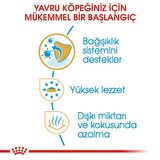 Royal Canin Chihuahua Yavru Köpek Maması 1.5kg