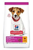 Hills small mini puppy 3kg tavuklu yavru köpek maması mini Irk tavuklu