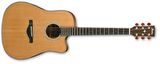 ELEKTRO AKUSTİK GİTAR CUTAWAY   :IBANEZ ÇİN