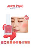 Doğal Görünüm Sunan Nemlendirici Likit Allık 9g. APIEU Juicy-Pang Water Blusher (RD01)