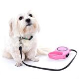 White Line Otomatik Uzayan Köpek Tasması