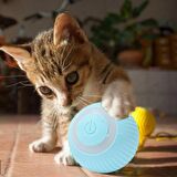 şarjlı kedi topu