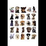 Sevimli Köpek Çıkartmaları Laptop Notebook Tablet Sticker Seti