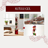 Kutulu Gül - Öğretmenler Günü Hediyesi