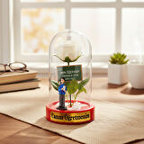 Güllü Biblolu Ters Fanus - Öğretmenler Günü Hediyesi