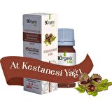 At Kestanesi Yağı 20 ML