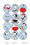 Snoopy Serisi SNPY5 Çizgifilm Karakter 30*42 cm Pirinç Dekopaj
