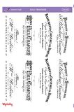 Kaligrafik Yazı Desenli Sulu Transfer LNT-269 25x35