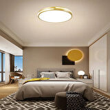 Gold Şerit Akrilikli Kumandalı Dimli 3 Işık Renkli 50cm Led Tavan Lambası, Modern Aydınlatma