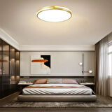 Gold Şerit Akrilikli Kumandalı Dimli 3 Işık Renkli 50cm Led Tavan Lambası, Modern Aydınlatma