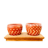 Bitki Tasarımı Ev dekorasyon Aksesuar Beyaz Nokta Terakota Saksı İkili Ahşap Tabanlı Çiçeklik Saksı Saksılık