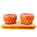 Bitki Tasarımı Ev dekorasyon Aksesuar Beyaz Nokta Terakota Saksı İkili Ahşap Tabanlı Çiçeklik Saksı Saksılık