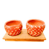 Bitki Tasarımı Ev dekorasyon Aksesuar Beyaz Nokta Terakota Saksı İkili Ahşap Tabanlı Çiçeklik Saksı Saksılık