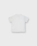 Genç Polo Yaka Tişört