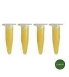 VENİV AGRICULTURE 3V Keiki Orkide Çoğaltma Dal Çıkarma Macunu- 4 adet x1,5 gr