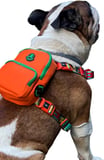 Design, Turuncu, Çantalı Göğüs Tasması, Köpek Sırt Çantası – 2’si 1 Arada Göğüs Tasması Fonksiyonlu, Ayarlanabilir, Küçük &amp; Büyük Irklar için, Small