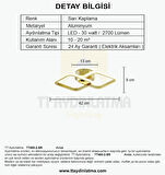 TT405-2-SR TT Aydınlatma Sarı Kaplama 2 li Kare ( Sarı Işık ) Led Avize
