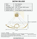 TT002-SR TT Aydınlatma Papyon Modeli Sarı Kaplama ( 3 Renk Işık Modüllü ) Led Avize