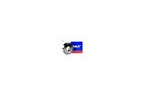 Skf Rulman 6002 Zz 15x32x9