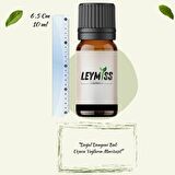 Limon Çiçeği Uçucu Yağı Canlandırıcı ve Ferahlatıcı Kokusuyla 10ml Cam Şişede Buhardanlık Oda Kokusu