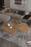 Orta Sehpa Seti Modern 2’li Ahşap Ayaklı Salon Oturma Odası Dekoratif Sehpa Takımı 7777 Atlantik