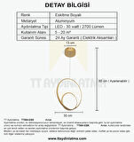 TT004-ESK TT Aydınlatma Göz Modeli Eskitme Boyalı  ( Gün Işığı )  Led Avize